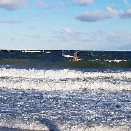 Appartamento A Cappella A6 *